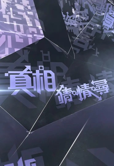真相猜·情·尋